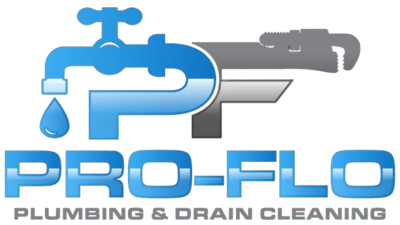 Pro-Flo Plumbing & Drain Cleaning logo
